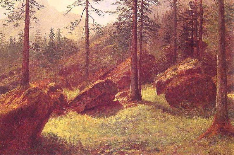 Albert Bierstadt Wooded Landscape Norge oil painting art